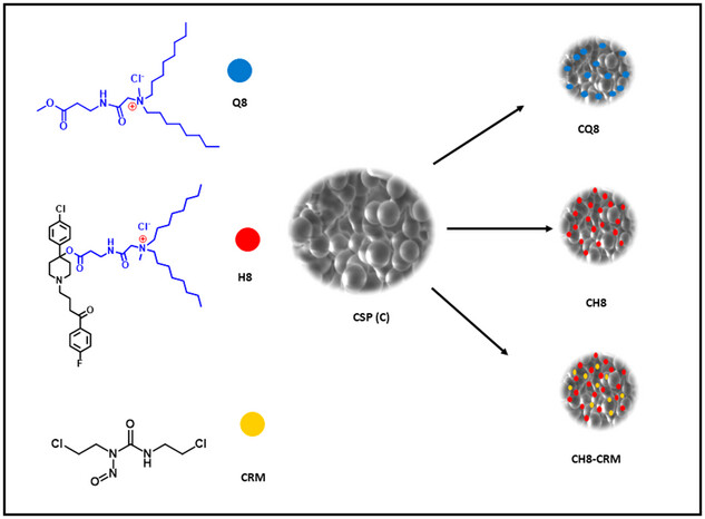 adtp202400100-fig-0001-m