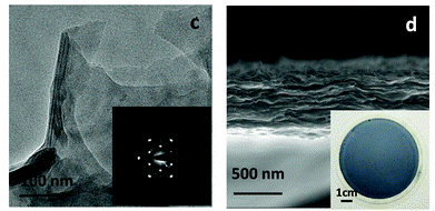 c5ee03856a-f1