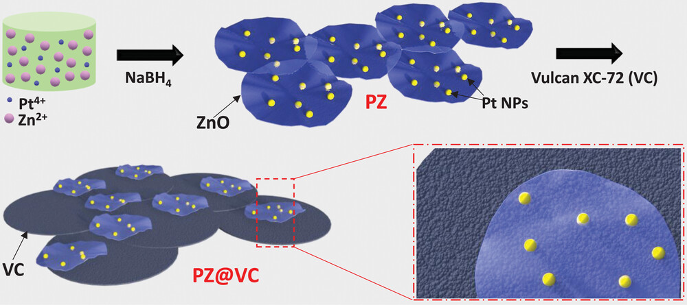 smll202303495-fig-0006-m