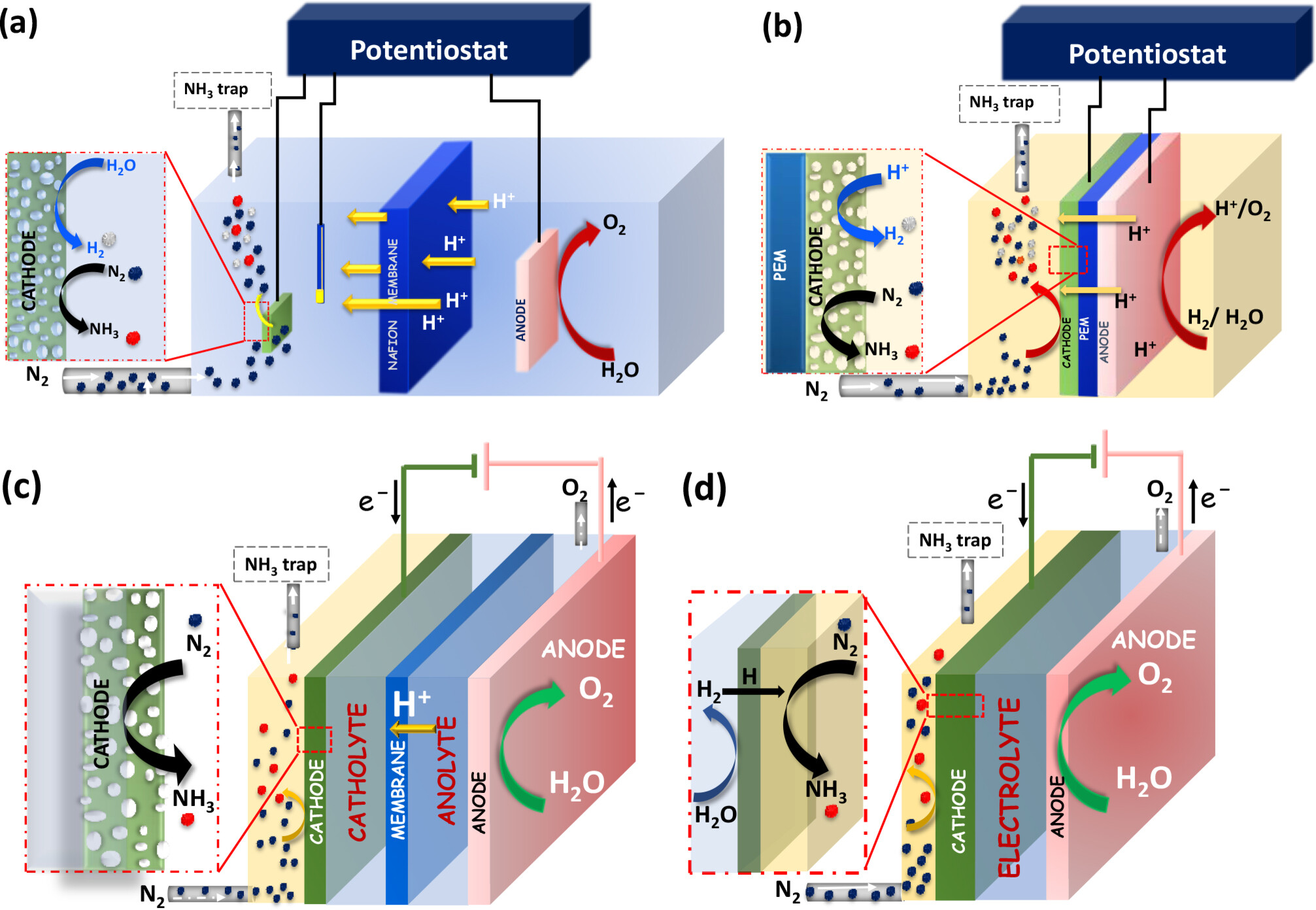 tcr202200139-fig-0004-m